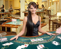 A Room in a Live Dealer Casino Online