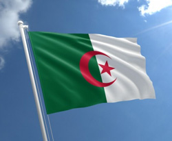 Algerian flag