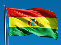 Bolivian flag