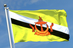 Brunei flag