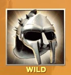 Wild Symbol by Gladiator Slot