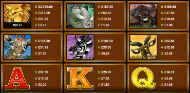 Special Functionalities - Mega Moolah slot 