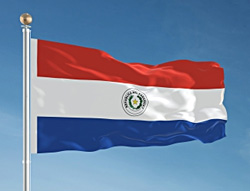 Paraguayan flag