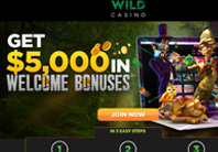 Great bonuses and promotions at Wild Casino